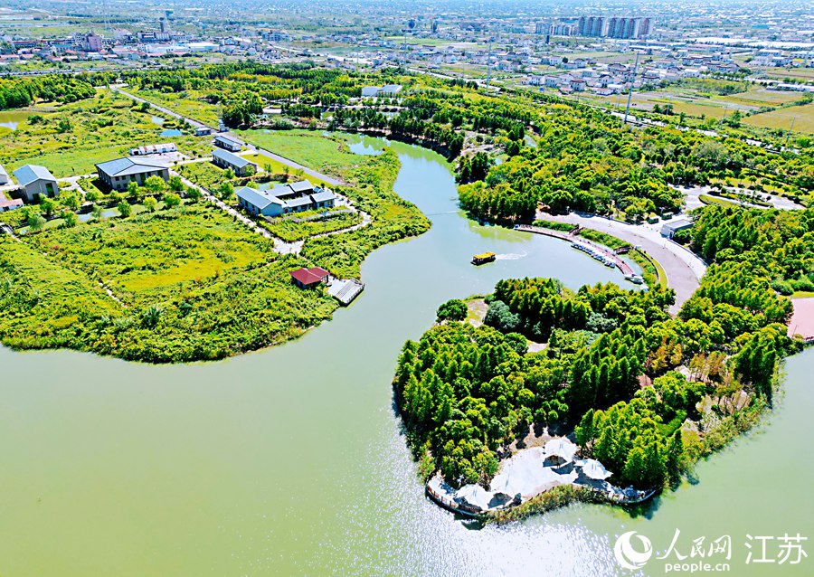 占地1600畝的海門海港生態(tài)公園。人民網(wǎng)記者 王繼亮攝