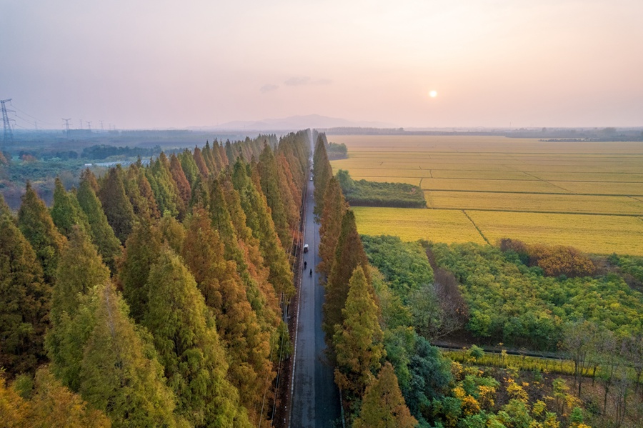 浦口零號公路。南京市浦口區(qū)文旅局供圖