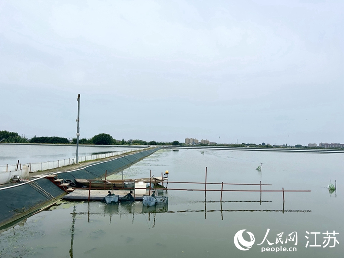 改造完成的生態(tài)大閘蟹產(chǎn)業(yè)示范園。人民網(wǎng) 王丹丹攝