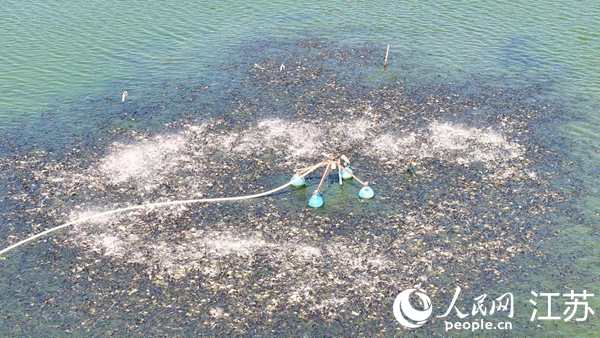 王金友家的魚塘配備了自動投餌機。人民網(wǎng) 范堯攝